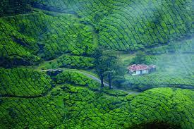 Munnar